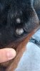 IMG_20180817_193209_HDR.jpg IMG_20180817_193209_HDR.jpg