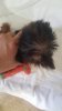 740E4D59-E93D-447D-8A6A-A783DDB7ADCE.jpeg
