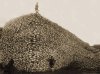 american-bison-pile-skulls.jpg