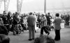 Bull Terrier Crufts 1976 II.jpg