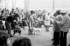 Bull Terrier Crufts 1976 III.jpg