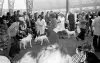 Bull Terrier Crufts 1976 VIII.jpg