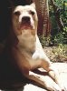 20180702_143227.jpg
