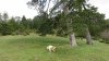 IMG_6597.JPG IMG_6597.JPG