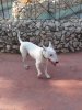 DSC01668.JPG