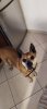 zoe_june_2019_2.jpg zoe_june_2019_2.jpg