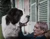 Pablo Picasso with Bob, the family’s Pyrenean Mountain dog at Boisgeloup, 1930.jpg