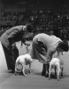 Orkin.DogShow6.twopeoplewithdogs.jpg