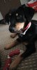 received_545107386267467.jpeg received_545107386267467.jpeg