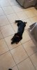 received_489488921899243.jpeg received_489488921899243.jpeg