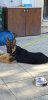 20191120_080437.jpg