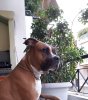 20200517_013113.jpg