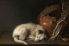 Gerrit_Dou_(Dutch,_1613–1675),_Sleeping_Dog,_1650._Oil_on_panel.jpg