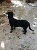 IMG_20201102_113646.jpg