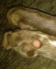 IMG_20201205_214601.jpg