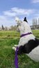 IMG-582ce48b8ff569523fe0bf06ed5eb3f4-V.jpg