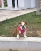 LOLA-1.jpg LOLA-1.jpg