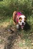 LOLA-4.jpg LOLA-4.jpg