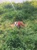 LOLA-8.jpg LOLA-8.jpg
