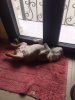 LOLA-6.jpg LOLA-6.jpg