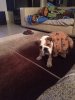 LOLA-7.jpg LOLA-7.jpg