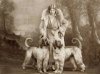 Old photo of a woman and her Afghan Hounds.jpg