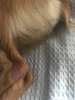 image_67178241.JPG