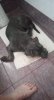 received_238661871030160.jpeg received_238661871030160.jpeg
