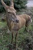 DSC09157.jpg