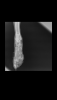 Screenshot_20220107-130924.png