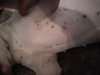 IMG_20220110_173606.jpg