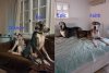 Great Danes.jpg Great Danes.jpg