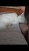 Screenshot_20230629-112549_Gallery.jpg