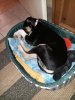 IMG_20240208_102928.jpg