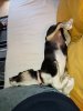 mir_20240117_164533.jpg