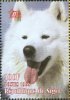 Niger1998-samoyed&.jpg