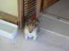 DSCN1360..jpg DSCN1360..jpg