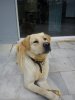 DSC00092..jpg