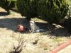 DSC01396..jpg