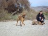 DSC00102..jpg