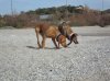 DSC00100..jpg