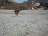 DSC00104..jpg