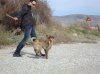 DSC00105..jpg