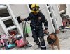 75175792-rescue-w&#111.jpg