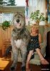 giant_dogs_world&#9.jpg