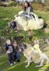 giant_dogs_world&#9.jpg