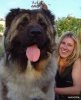 giant_dogs_world&#9.jpg