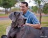 giant_dogs_world&#9.jpg