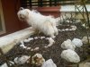 IMG-20110312-00058..jpg