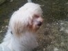 IMG-20110210-00022..jpg